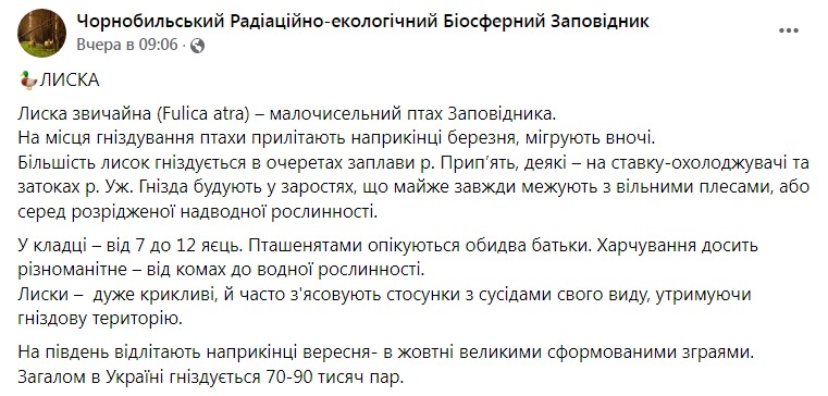 Скриншот из Фейсбука Чернобыльского заповедника